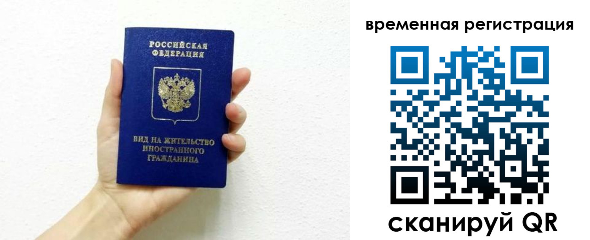 прописка гарантия в Краснодаре