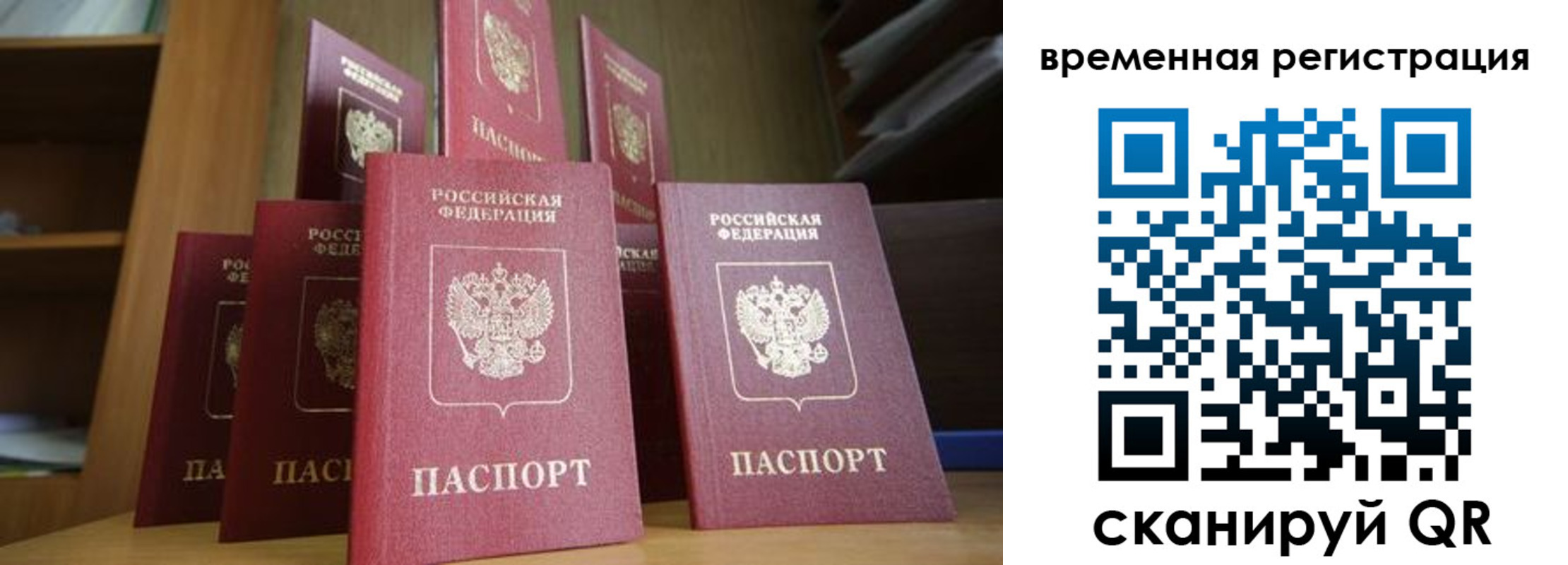 прописка 2025 в Краснодаре